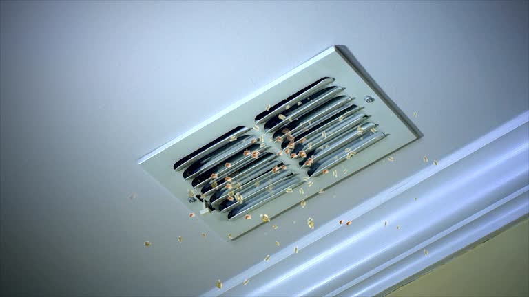 Best Affordable Duct Cleaning Services  in Palestine, IL