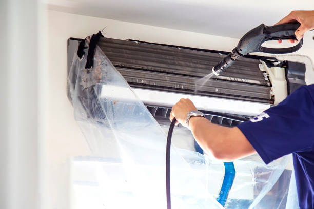 Best Affordable HVAC Duct Cleaning  in Palestine, IL