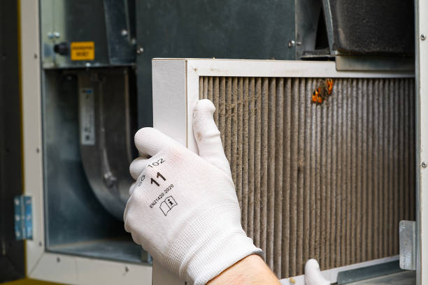 Best HVAC System Cleaning  in Palestine, IL