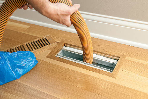 Best Home Air Vent Cleaning  in Palestine, IL