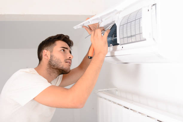 Best Air Vent Cleaning Services  in Palestine, IL