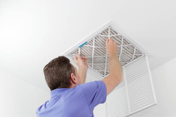 Best HVAC Maintenance and Cleaning  in Palestine, IL